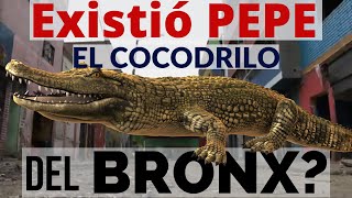 PEPE EL COCODRILO DEL BRONX DE BOGOTÁ There Was A Crocodile In The Bronx Of Bogota Colombia 112 [upl. by Anahcar816]