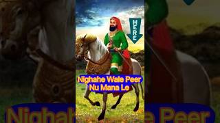 Nigahe wale peera ve 🚩🙏 peernigahewala peer bhakti shorts [upl. by Mutua]