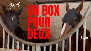 VLOGDECONCOURS   ne regarde pas ce vlog [upl. by Attiuqehs113]