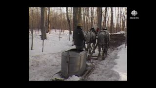 En 1987 une cabane à sucre qui souhaite faire vivre à ses visiteurs un retour aux sources [upl. by Ellebyam]