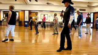 GEL  Line Dance  Walkthrough [upl. by Lamrouex701]