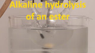 Alkaline hydrolysis of methyl acetate Alkaline hydrolysis of esters [upl. by Eglanteen]