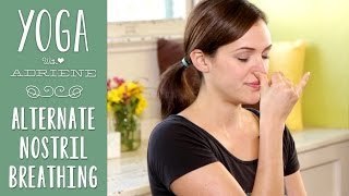 Yoga Breathing  Alternate Nostril Breathing [upl. by Branden]