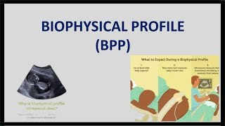 Biophysical Profile BPP for the assessment of Fetal wellbeing [upl. by Nivrag]