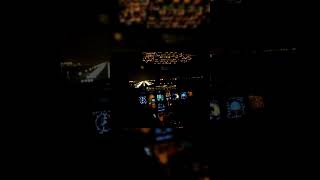 AMAZING A320 Night Landing from Cockpit [upl. by Oned259]