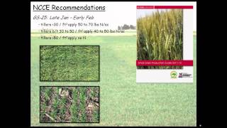 Soil Fertility Management for Organic Wheat Production [upl. by Jenelle]