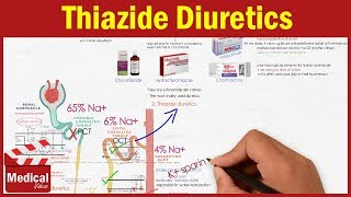 Thiazide Diuretics Mechanism and Side Effects [upl. by Tali]