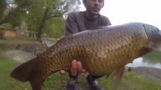 Nouvelle session carpe sur le lac de Pinet HD [upl. by Otrebogir930]