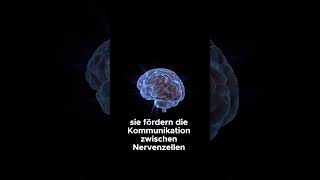 Omega 3 Fettsäuren Der Schlüssel health omega3 gesundheitsvideo body vitamind news [upl. by Ken]