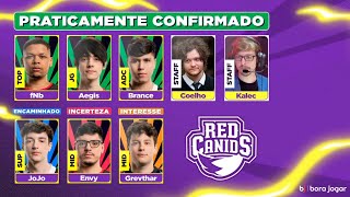 A RED CANIDS NO CBLOL 2024 [upl. by Egwan787]