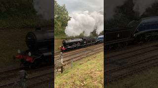 Sir Nigel Gresley amp Beachy Head 📸🚂 trains bluebellrailway steamgala steamlocomotives [upl. by Alahsal]