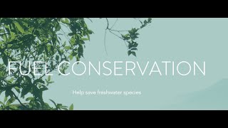 Lily Ichthyology  Freshwater Fish Conservation [upl. by Ressan873]