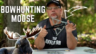 Best Broadhead Choice for Bowhunting MOOSE [upl. by Keon]