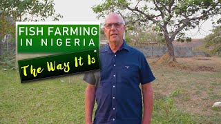 Fish Farming In Nigeria  An Experts Opinion On How It Is  Part 1  Willy Fleuren [upl. by Roice802]