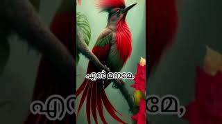 സർവ്വ സൃഷ്ടികളുമൊന്നായി പുകഴ്ത്തിടുന്ന good morning malayalam christian song [upl. by Onimod]