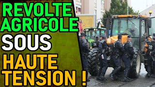 AGRICULTEURS CONTRE CRS ET GOUVERNEMENT [upl. by Steffen]