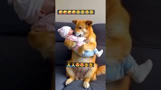 Dog and a funny 😂😂 anime rap hipop conjecture song automobile [upl. by Yarg]