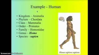 Taxonomy  Classification [upl. by Assylla]