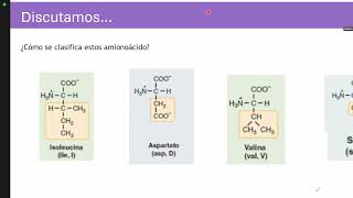 UTI 1 Macromoleculas 2032024 parte 3 [upl. by Necila]