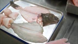 Plaice  How to Fillet [upl. by Callan]