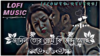 জানিনা তোর প্রেমে কি জাদু আছে 🥰 Janina Tor Preme Ki Jadu Ache  LOFI MIXED 🎧   SLOWED amp REVERB [upl. by Nirad514]