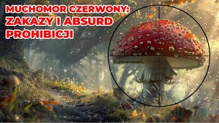 RZĄD KONTRA MUCHOMOR CZERWONY ZAKAZY I ABSURD PROHIBICJI [upl. by Aneelahs]