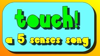 Touch A Five Senses Song [upl. by Washington]