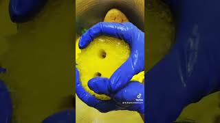 Lemon Pinalen Sponge Squeezes spongesqueezing asmr pinalen [upl. by Netfa]