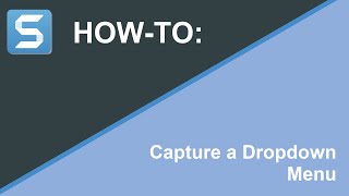 How to Capture a Dropdown Menu with Snagit [upl. by Beth159]