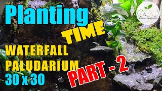 8  Waterfall Paludarium Mini 30 cm Natural Stream Setup waterfall paludarium tutorial PART2 [upl. by Andreas324]