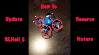 How To Update BLHeli S amp Change Motor Directions [upl. by Scevo76]