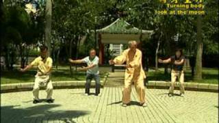 18 Chi Quong Shibashi Tai Chi Qigong 18 [upl. by Ihp]