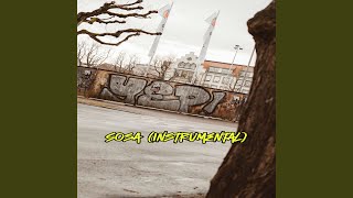 Sosa Intrumental [upl. by Katerine]