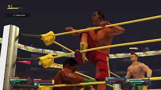 Punch Out Tag Team tournament Aran Ryan  Don Flamenco vs Mr Sandman  Super Macho Man [upl. by Yhtuv]