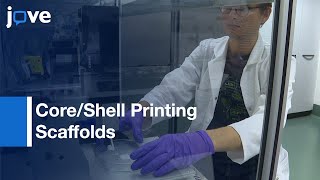 CoreShell Printing Scaffolds For Tissue Engineering Of Tubular Structures l Protocol Preview [upl. by Aurelio949]