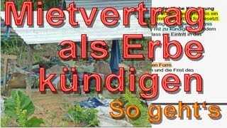 Als Erbe wirksam Mietvertrag kündigen § 564 BGB  So gehts  Mustertext  Immobooksde [upl. by Aber]