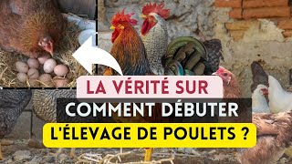 2 Façons de Commencer lÉlevage de Poulets en Afrique [upl. by Eolc]