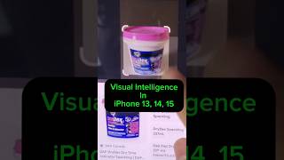 iPhone 16 Pro Max “Visual Intelligence” in Older iPhones [upl. by Tiemroth]