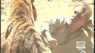 zoo keeper fights off tiger attack and lives [upl. by Rainger]