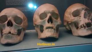 National Museum Copenhagen Denmark  A history of Vikings [upl. by Origra]