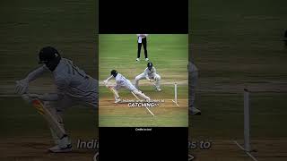 cricket reel reels viral [upl. by Brittnee]