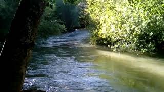 North Fork Cache Creek at Redbud Trailhead [upl. by Ymmor]