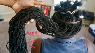 REATTACHING LONG NATURAL LOCS  NBN DAY 8 [upl. by Dhu]