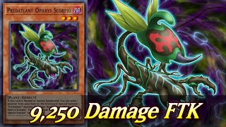 Predaplant Ophrys Scorpio 9250 Damage FTK YuGiOh Duel Links [upl. by Drusie]