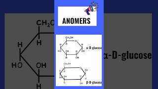 What is anomers👍  Anomers of glucose shorts youtubeshorts [upl. by Aniar]