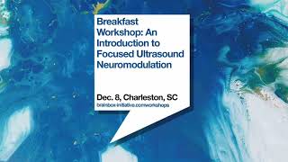 An Introduction to Focused Ultrasound Neuromodulation [upl. by Aicnelev]