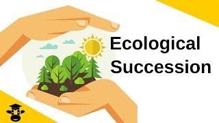 Ecological SuccessionPrimary and Secondary [upl. by Swithbert]