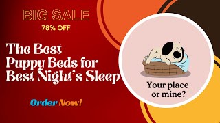 The Best Puppy Beds for Best Night’s Sleep [upl. by Penoyer]