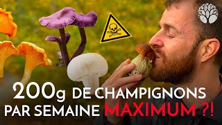 Quelle quantité de champignons peuton manger [upl. by Sidoney260]