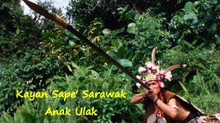 Kayan Sape Sarawak  Anak Ulak [upl. by Fonda383]